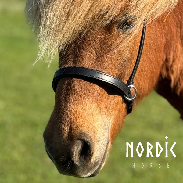 Nordic Horse bidløst næsebånd
