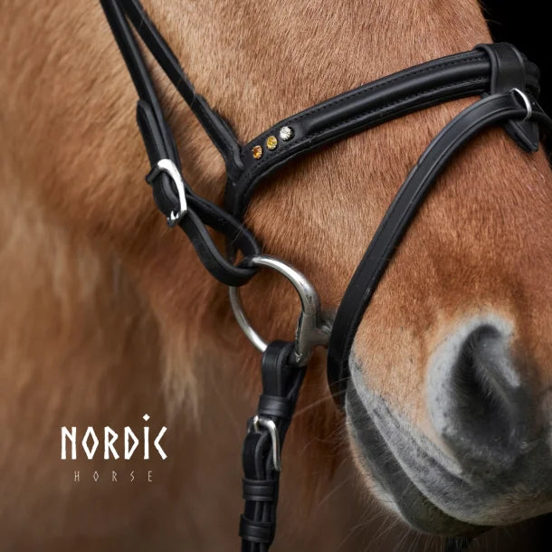 Nordic Horse engelsk/kombineret næsebånd, Colour Edition