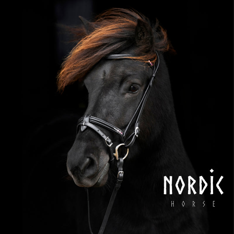 Nordic Horse nakkeremme, Colour Edition