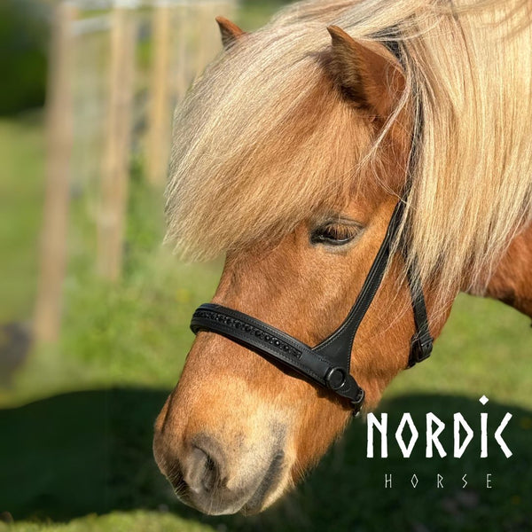 Nordic Horse sidepull - All Black