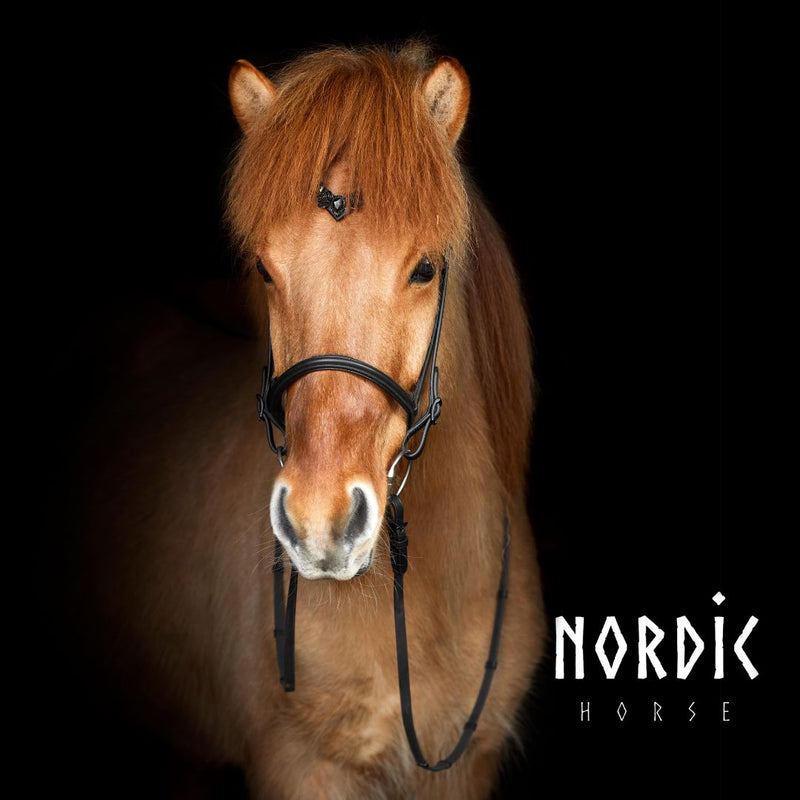Nordic Horse sort biothantøjle med spænder