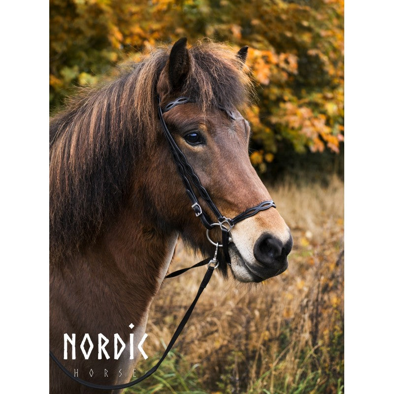 Nordic Horse kombineret/engelsk næsebånd, nr. 15