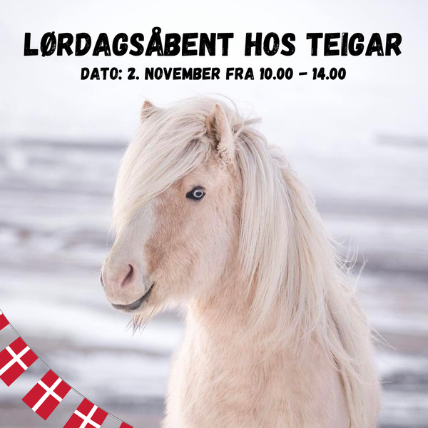 Kom til fødselsdagskage hos Teigar lørdag den 2. november 🇩🇰