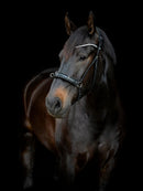 Catago Gentle Bridle kapsun næsebånd