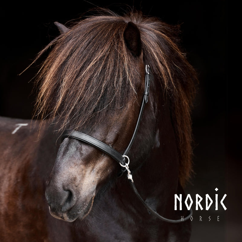 Nordic Horse bidløst næsebånd