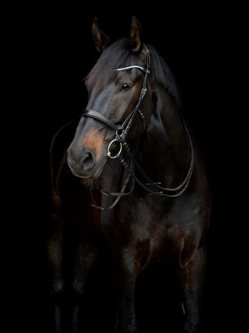 Catago Gentle Bridle kæberem - miderste