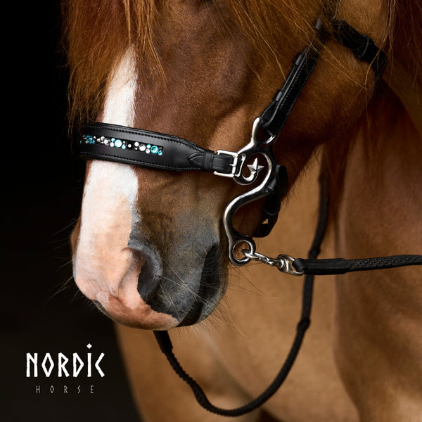 Nordic Horse hackamore - Colour Mix Turkis