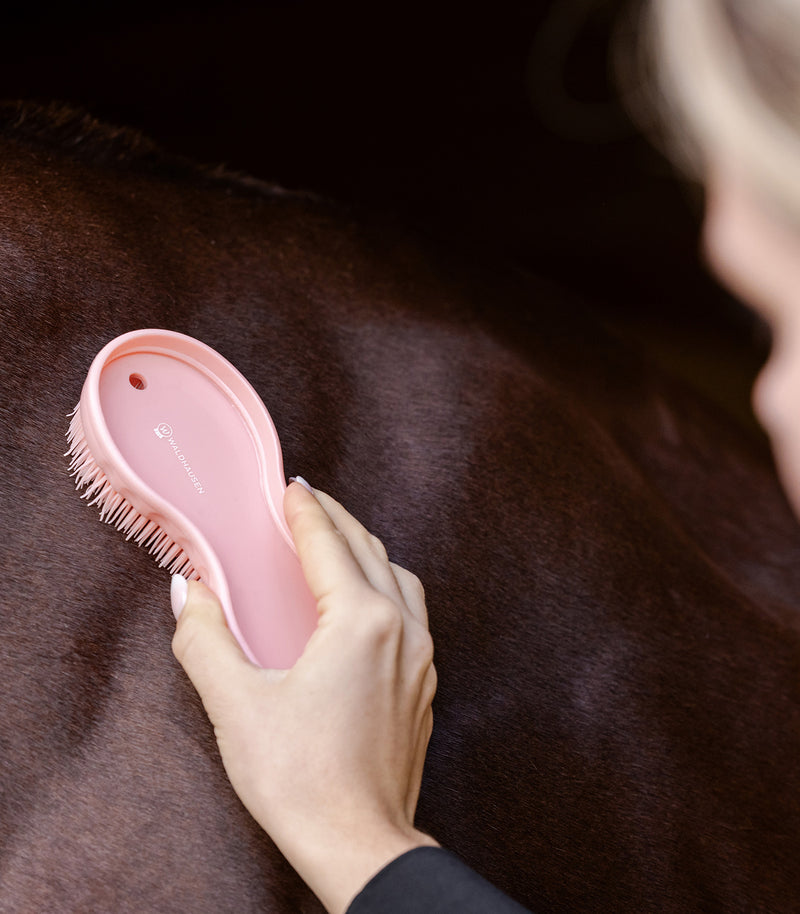 Waldhausen multifunktionsbørste