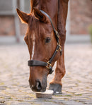 StableSnack slikskål - 650 gram
