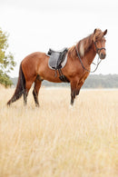 Catago Raja islændertrense