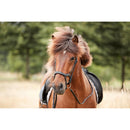 Catago Raja islændertrense