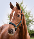 Waldhausen satin nylongrime, petrol