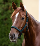 Waldhausen Athletic nylongrime - petrolblå