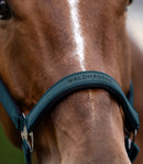 Waldhausen Athletic nylongrime - petrolblå