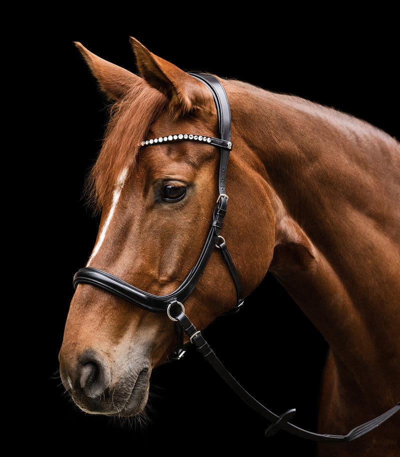 Waldhausen X-Line Sensation bidløs trense, str. cob
