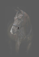 Catago Gentle Bridle samleringe - 2 stk.