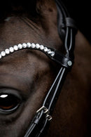 Catago Gentle Bridle pandebånd