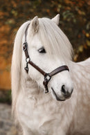 Cavallo POLAR Cavalilvy lædergrime - ankommer i uge 43 (forudbestilling)