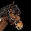 Eques Double-buckle nylongrime, sort