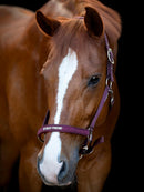 HorseGuard Malva grime, Italian Plum "My best friend"