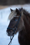 HorseGuard Norfolk islændertrense