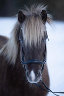 HorseGuard Norfolk islændertrense