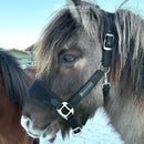 Hrimnir Premium nylongrime + træktov