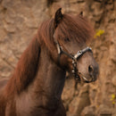 Hrimnir Atlas Multi kapsun