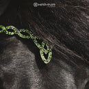 Hrimnir nakkerem, Heritage Aurora