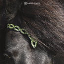 Hrimnir nakkerem, Heritage Aurora