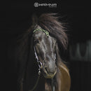 Hrimnir nakkerem, Heritage Aurora