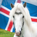 Hrimnir nakkerem, Heritage B - Fire & Ice