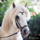 Hrimnir nakkerem, Heritage D - Fire & Ice