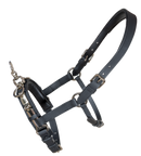 Karlslund Fengur kapsun