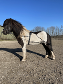 Karlslund longesystem