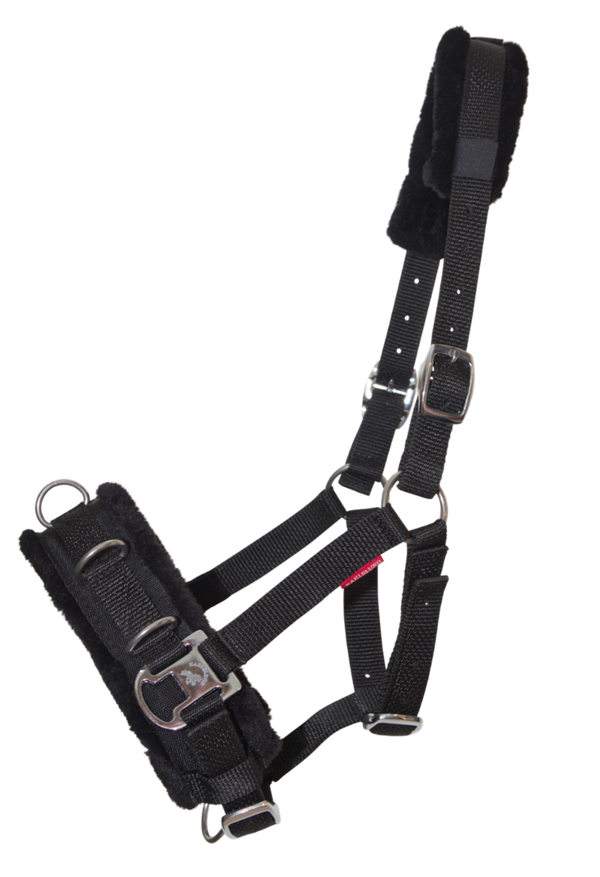 Karlslund nylon kapsun