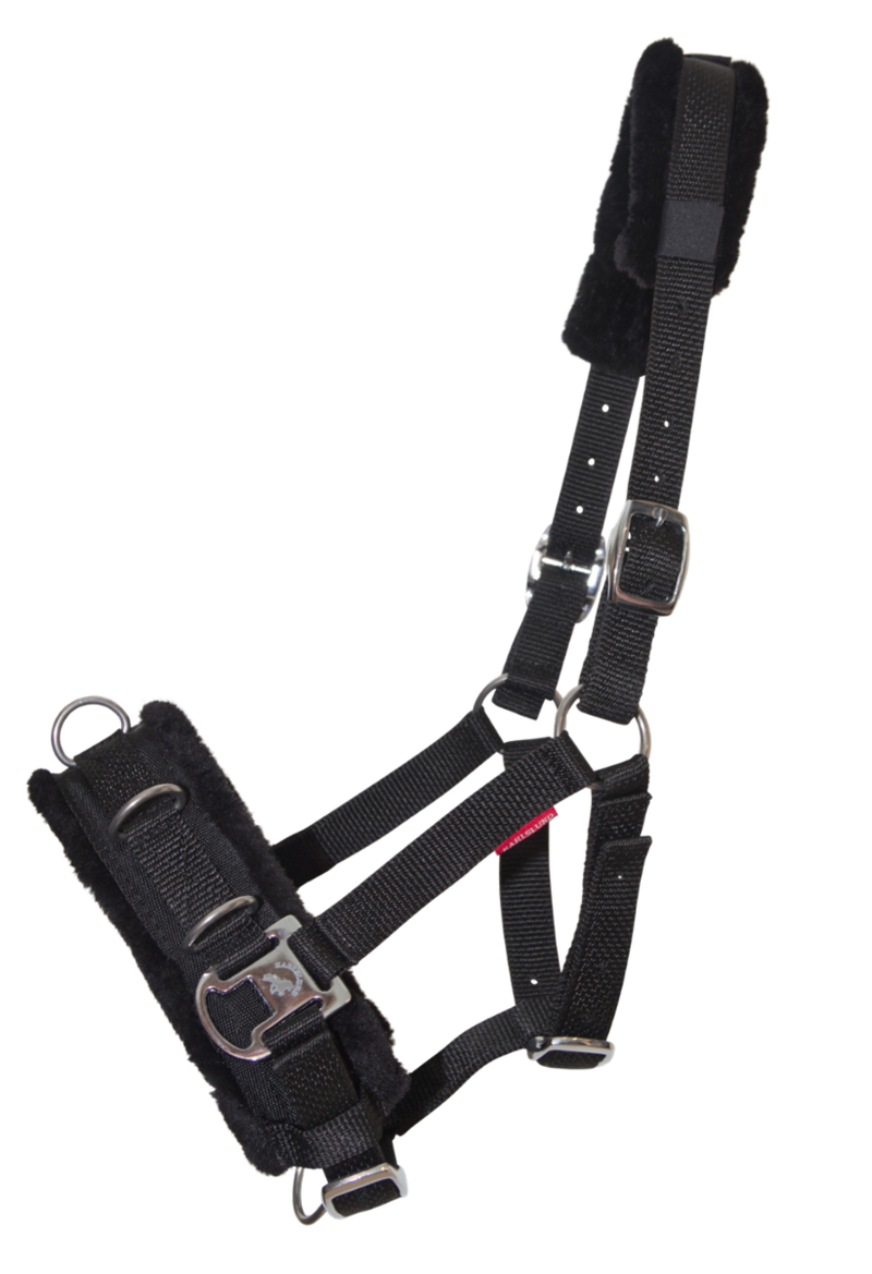 Karlslund nylon kapsun