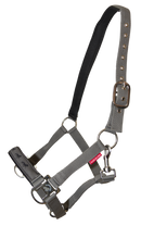 Karlslund nylongrime med gangarter