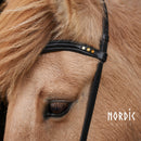Nordic Horse nakkeremme, Colour Edition