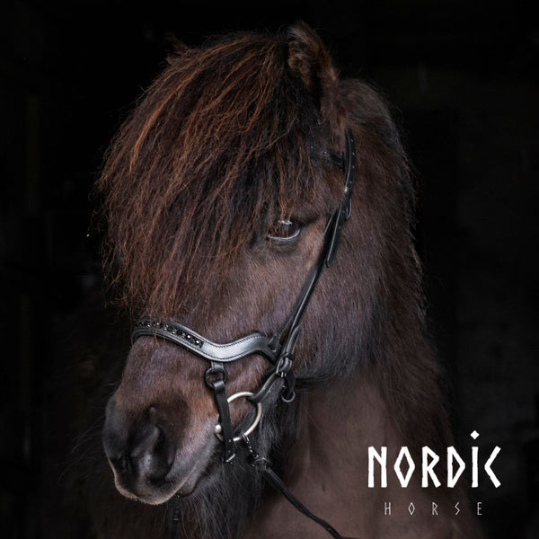 Nordic Horse All Black anatomisk næsebånd