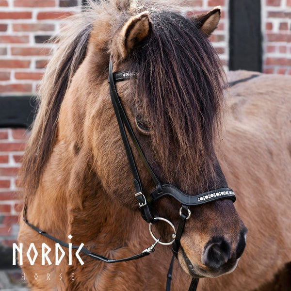 Nordic Horse All White anatomisk næsebånd