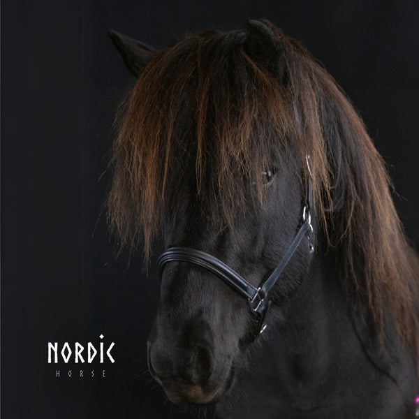 Nordic Horse Classic lædergrime, sort
