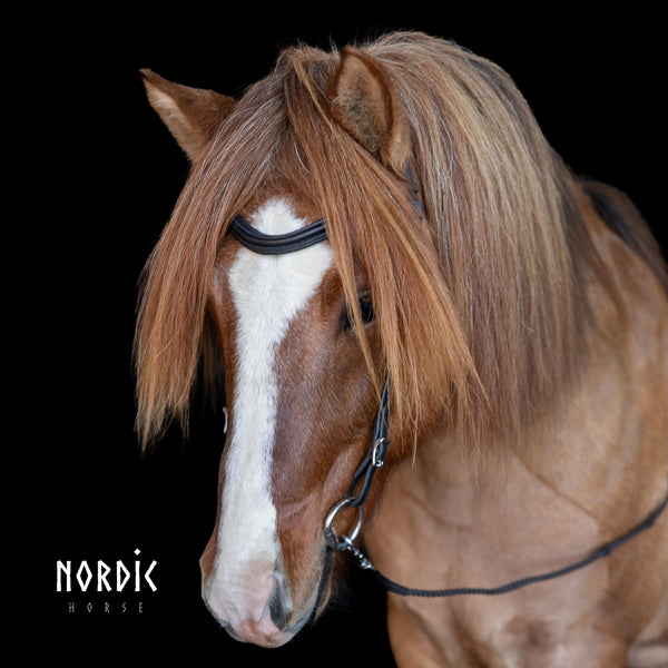 Nordic Horse Classic nakkerem - Curve