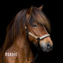 Nordic Horse Glitter nylongrime - Guld