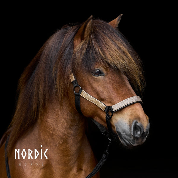 Nordic Horse Glitter nylongrime - Guld