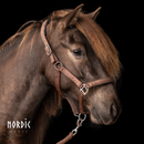 Nordic Horse Glitter nylongrime - brun