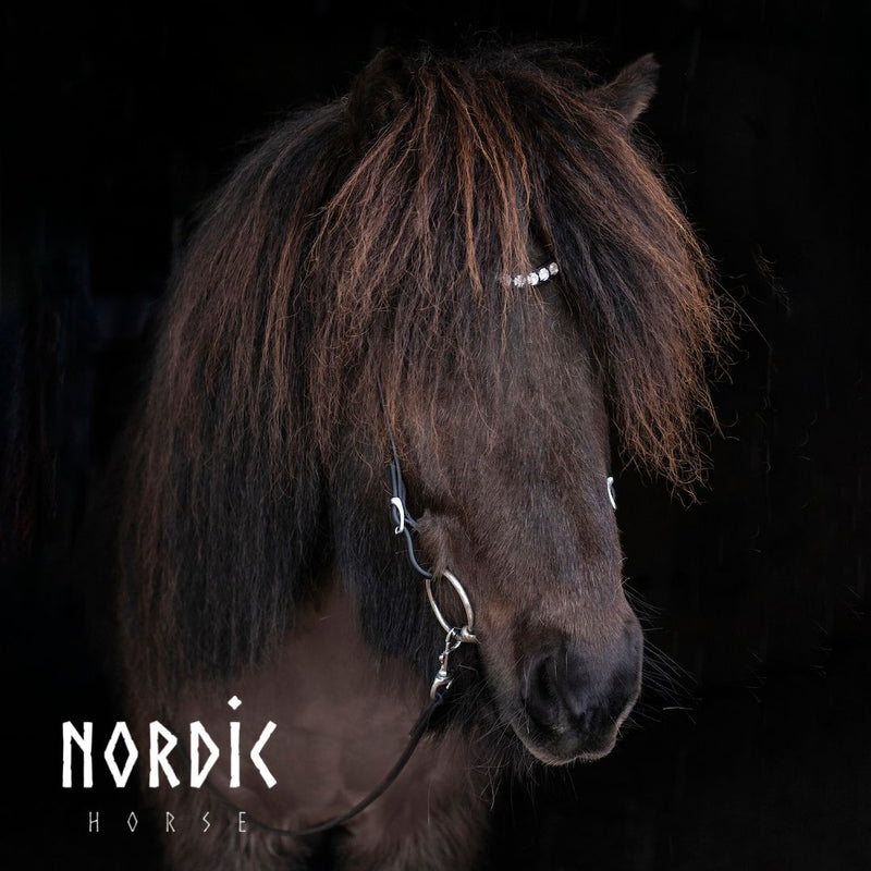 Nordic Horse Sparkling Ice pandebånd