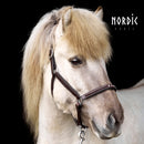 Nordic Horse brun lædergrime med 5 sten