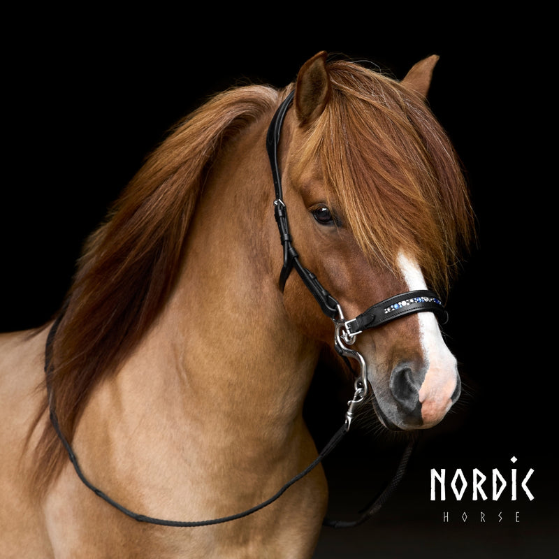 Nordic Horse hackamore - Colour Mix Blå