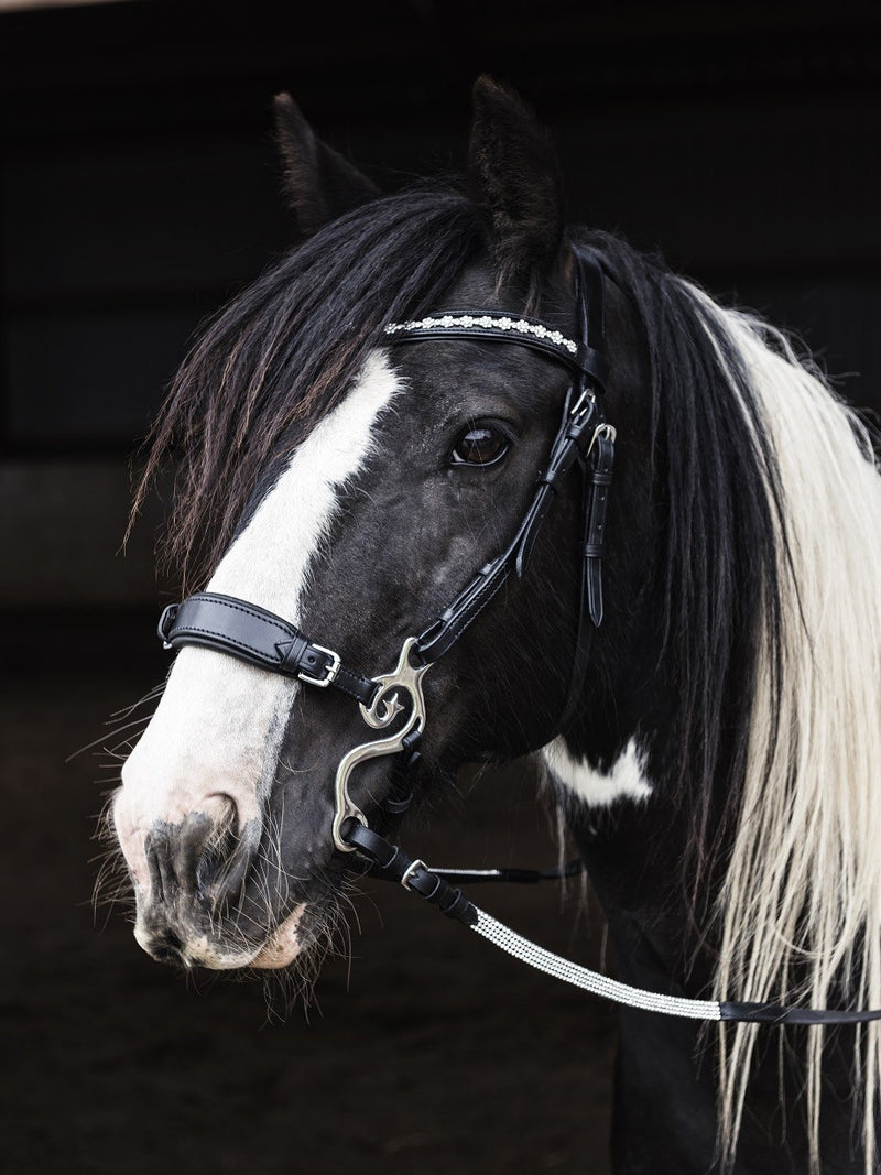 Nordic Horse hackamore - justerbar i siderne